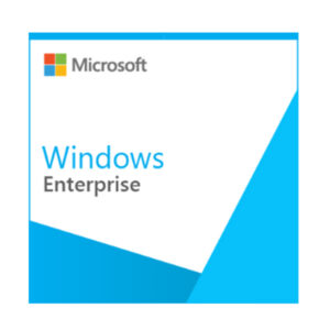 Phần mềm Microsoft WINENT SNGL UpgrdSAPk OLP NL