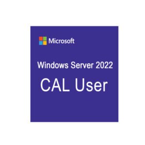 Phần mềm Microsoft  Windows Server 2022 - 1 User CAL
