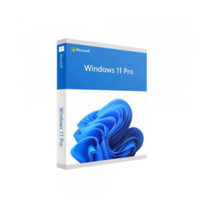 Phần mềm Microsoft Win Pro 11 64bit Eng USB FPP/HAV-00163
